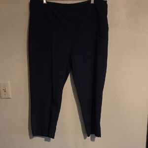 Zac & Rachel Dark Blue Cropped Pants